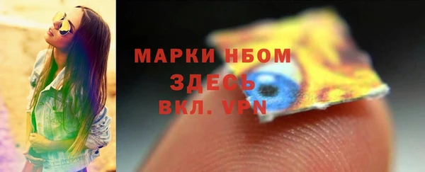 Альфа ПВП Аркадак