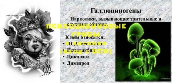 меф Арсеньев